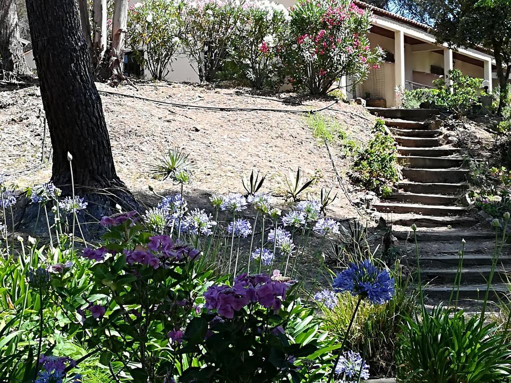 Auberge Ferayola 갈레리아 외부 사진
